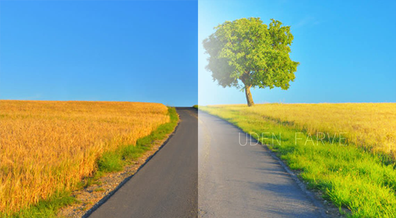 Thin and light lenses